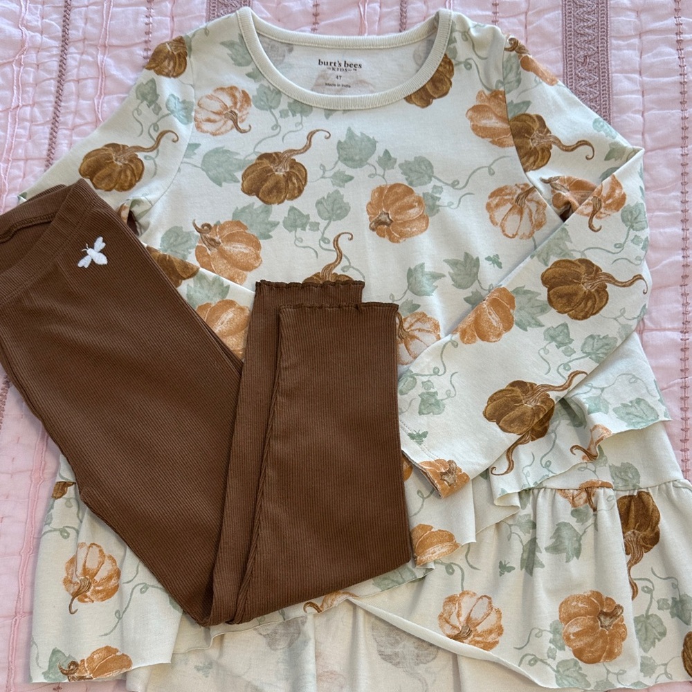 Burt's Bees Pumpkin Patterned Top and Brown Leggings